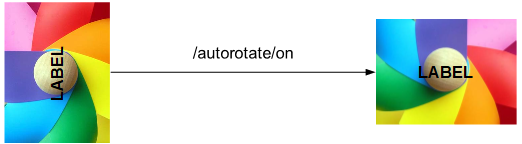 ../_images/dims_autorotate.png